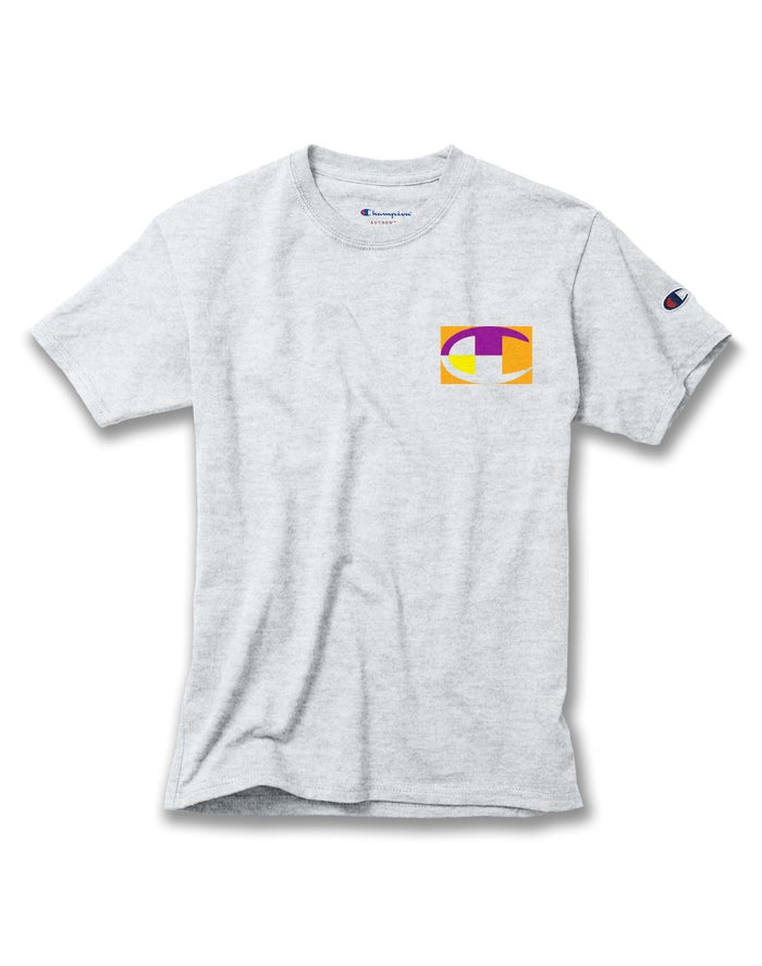 Champion Boys T-Shirt NZ - Cotton Retro Colorblock Logos Grey ( 9317-JFQGM )